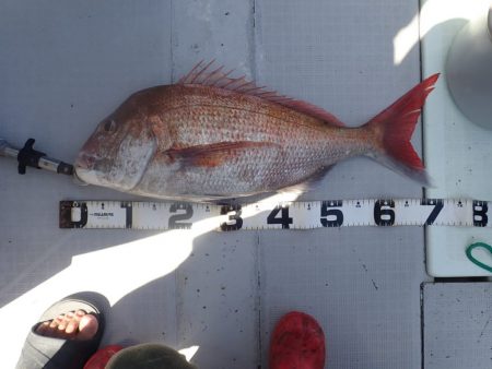 Aquanaut(アクアノート) 釣果