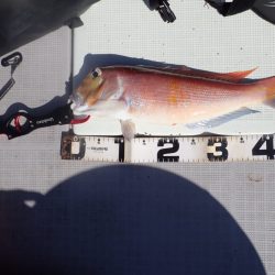 Aquanaut(アクアノート) 釣果