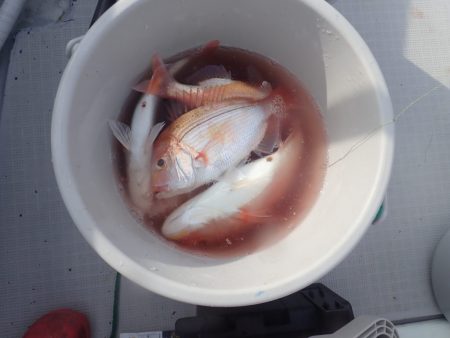 Aquanaut（アクアノート） 釣果