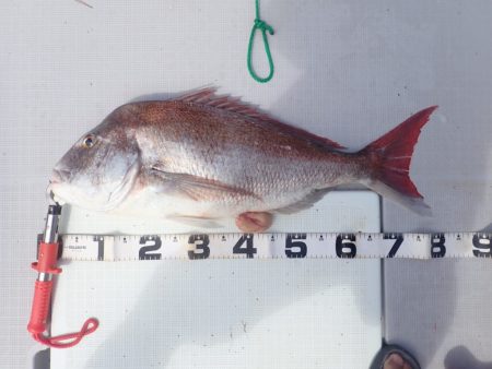 Aquanaut(アクアノート) 釣果