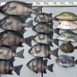 磯部釣船 直栄丸 釣果