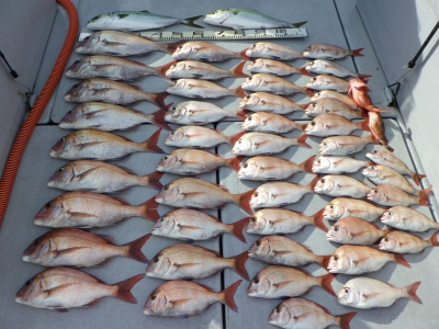 磯部釣船 直栄丸 釣果