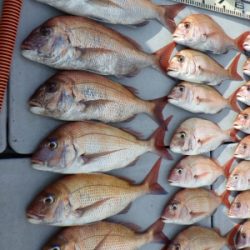 磯部釣船 直栄丸 釣果