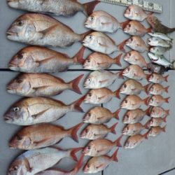 磯部釣船 直栄丸 釣果