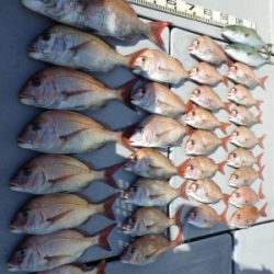 磯部釣船 直栄丸 釣果