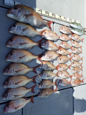 磯部釣船 直栄丸 釣果