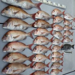 磯部釣船 直栄丸 釣果