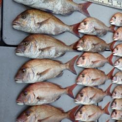 磯部釣船 直栄丸 釣果