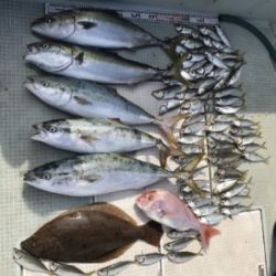 さぶろう丸 釣果