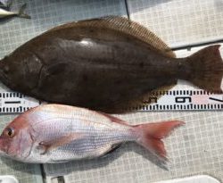 さぶろう丸 釣果