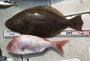 さぶろう丸 釣果