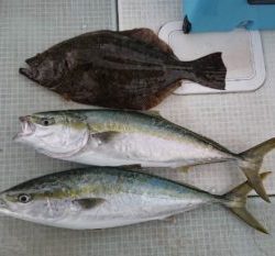 さぶろう丸 釣果