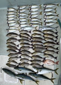 さぶろう丸 釣果