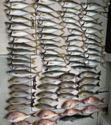 さぶろう丸 釣果