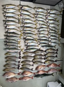 さぶろう丸 釣果