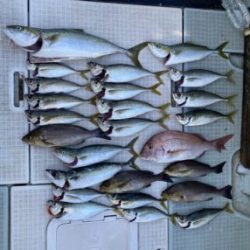 さぶろう丸 釣果