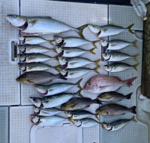 さぶろう丸 釣果
