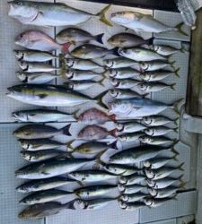 さぶろう丸 釣果