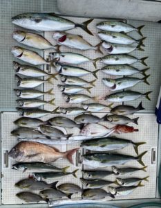 さぶろう丸 釣果