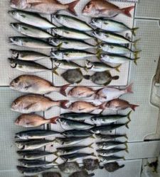 さぶろう丸 釣果