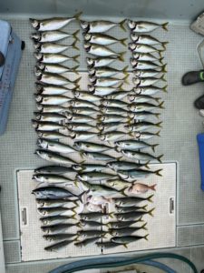 さぶろう丸 釣果