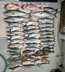 さぶろう丸 釣果