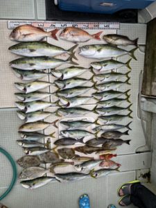 さぶろう丸 釣果