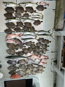 さぶろう丸 釣果