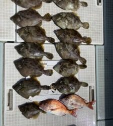 さぶろう丸 釣果