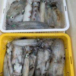 泰丸 釣果