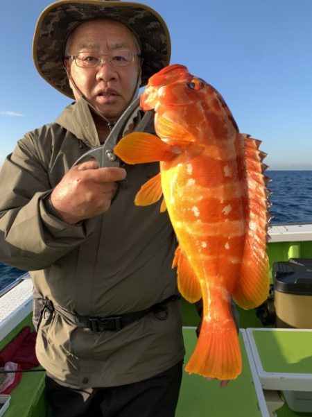 松栄丸 釣果