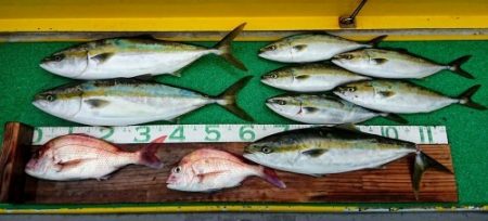 火遠理丸(ほおりまる) 釣果