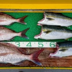 火遠理丸(ほおりまる) 釣果