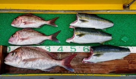 火遠理丸(ほおりまる) 釣果