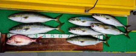 火遠理丸(ほおりまる) 釣果