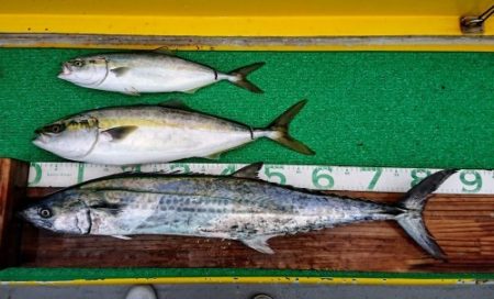 火遠理丸(ほおりまる) 釣果