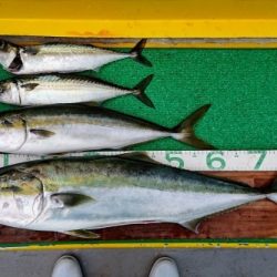 火遠理丸(ほおりまる) 釣果