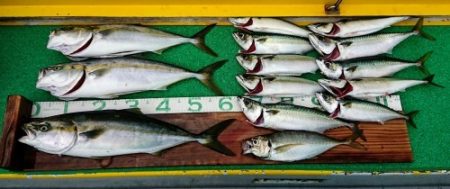 火遠理丸(ほおりまる) 釣果