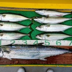 火遠理丸(ほおりまる) 釣果