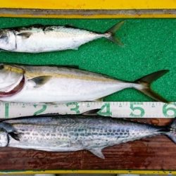 火遠理丸(ほおりまる) 釣果