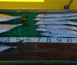 火遠理丸(ほおりまる) 釣果