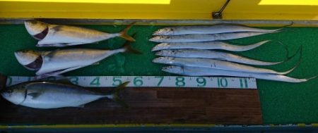 火遠理丸(ほおりまる) 釣果