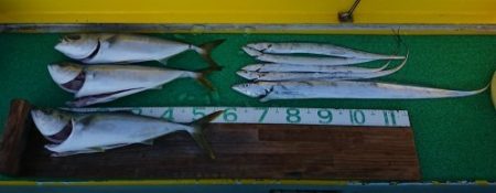 火遠理丸(ほおりまる) 釣果