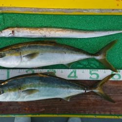 火遠理丸(ほおりまる) 釣果