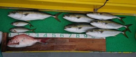 火遠理丸(ほおりまる) 釣果