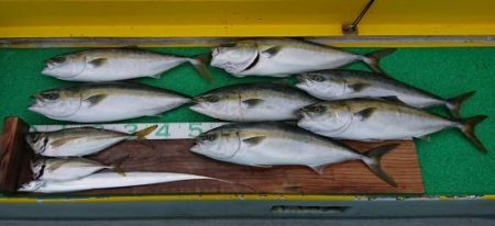 火遠理丸(ほおりまる) 釣果