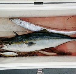 火遠理丸(ほおりまる) 釣果