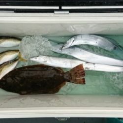 火遠理丸(ほおりまる) 釣果