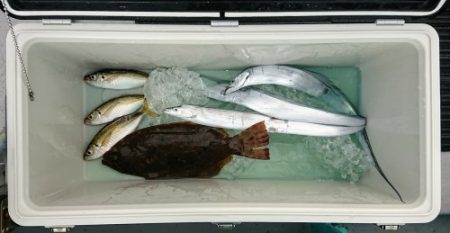 火遠理丸(ほおりまる) 釣果