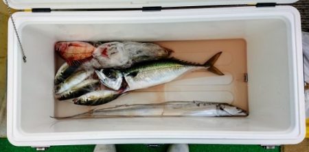 火遠理丸(ほおりまる) 釣果